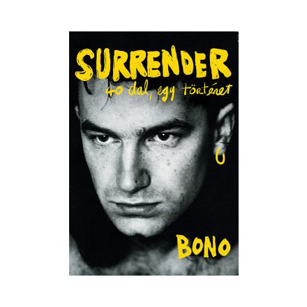 Surrender-40 dal,egy történet